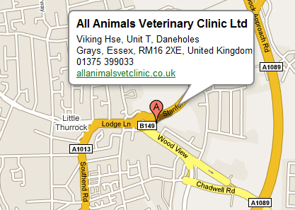 All Animals Veterinary Clinic, Unit .T, Viking House, Daneholes Roundabout, Stanford Road, Grays, Essex. RM16 2XE